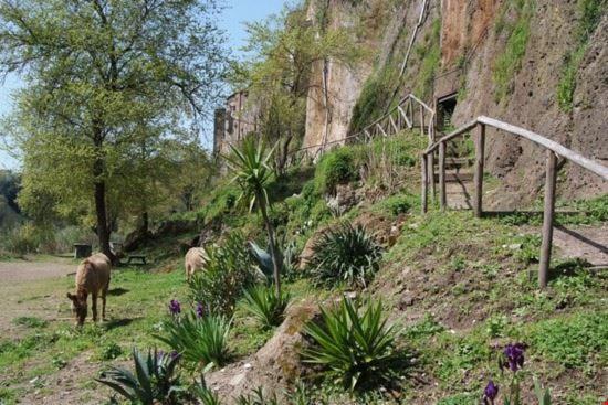 Casa Lale Διαμέρισμα Corchiano Εξωτερικό φωτογραφία